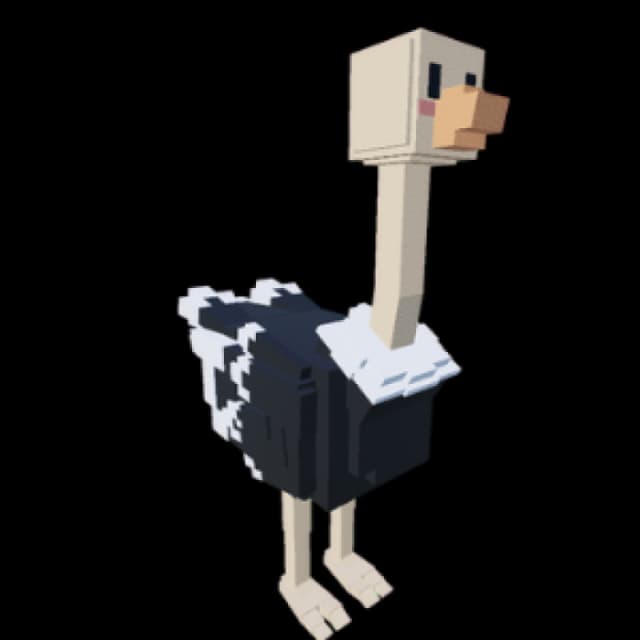 Ostrich