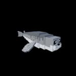 Seal - Savannah animal