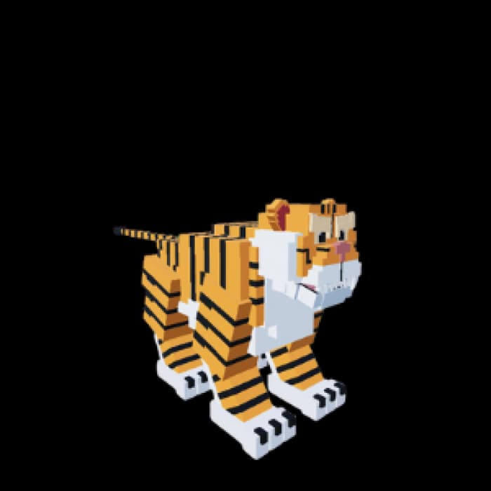 Tiger - Savannah animal